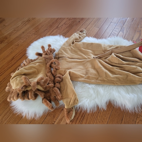 Lil' Lion Costume 🦁 - Picture 10 of 13